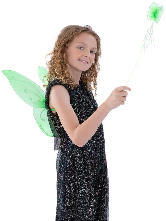 Butterfly Wings And Wand