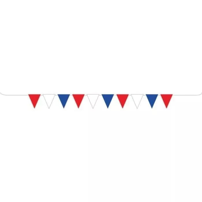 USA - Bunting