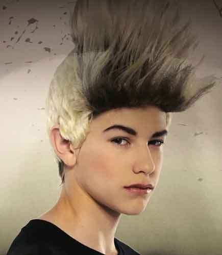 SUPER STAR BOY BAND WIGS