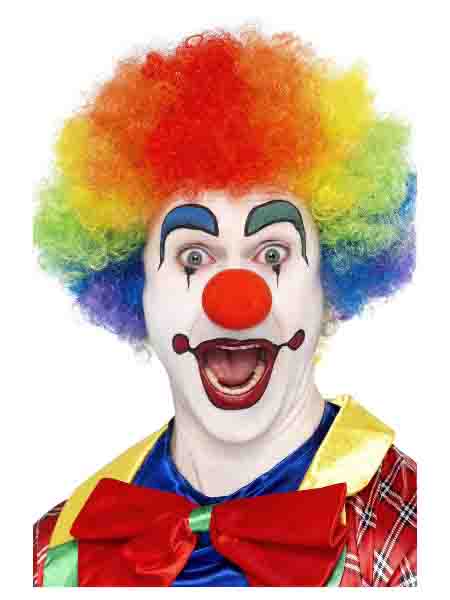 crazy clown wig