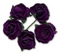 Miniature Tea Rose - Purple