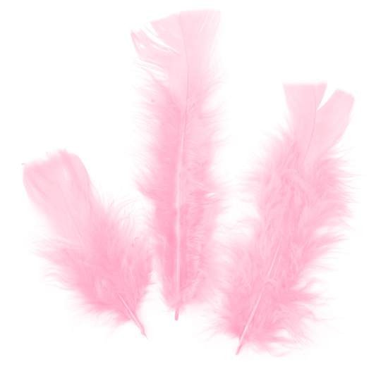 Small Pink Decorative Feathers